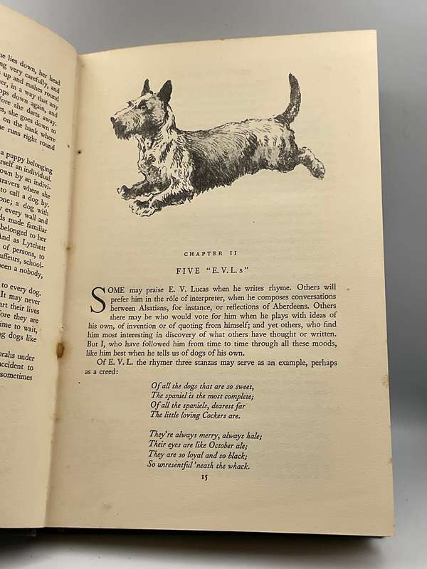 Best of Dogs: Stories of Many Famous Friends ~ Eric Parker 1949
