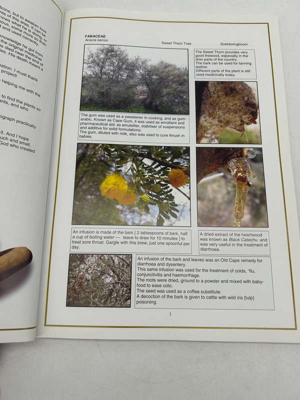 Veld Medicine from the Klein Karoo ~ Salomie de Jager | South African Medicinal Plants