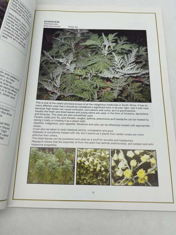 Veld Medicine from the Klein Karoo ~ Salomie de Jager | South African Medicinal Plants