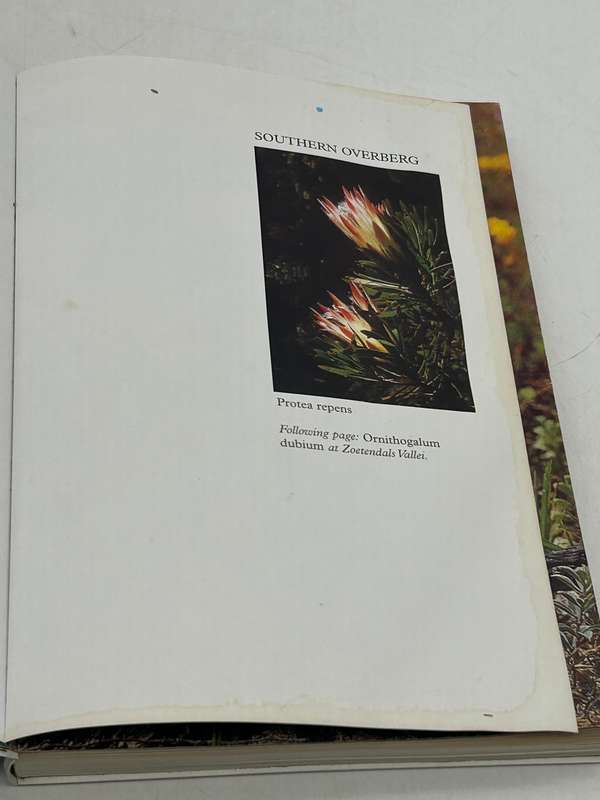 Southern Overberg ~ South African Wild Flower Guide 8