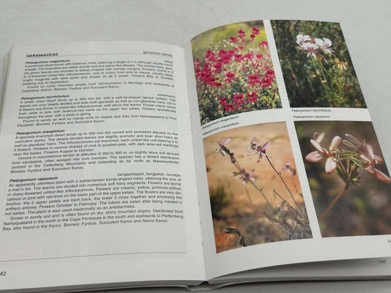 Cederberg: Clanwilliam & Biedouw Valley: South African Wild Flower Guide 10