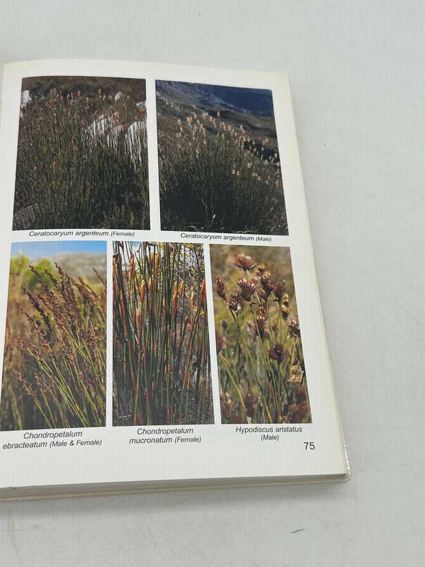 Stellenbosch to Hermanus SA Wildflower Guide No 5 - Anne Bean and Amida Johns