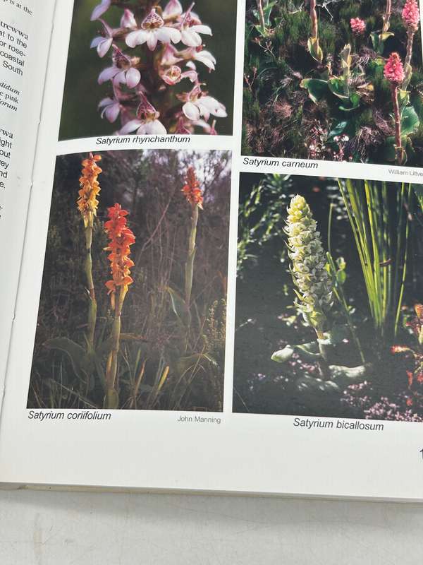Stellenbosch to Hermanus SA Wildflower Guide No 5 - Anne Bean and Amida Johns