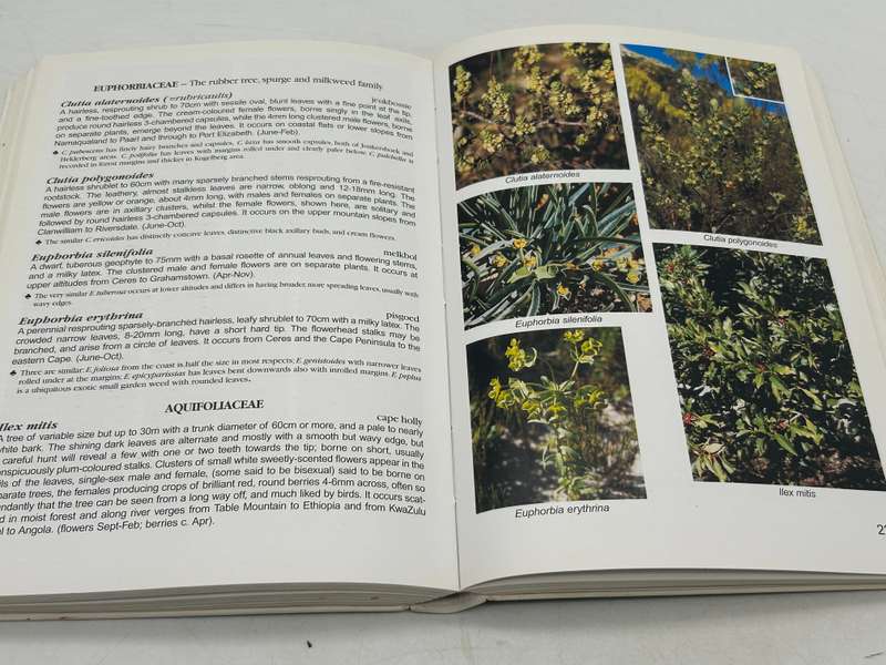 Stellenbosch to Hermanus SA Wildflower Guide No 5 - Anne Bean and Amida Johns