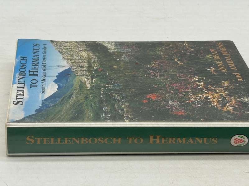 Stellenbosch to Hermanus SA Wildflower Guide No 5 - Anne Bean and Amida Johns