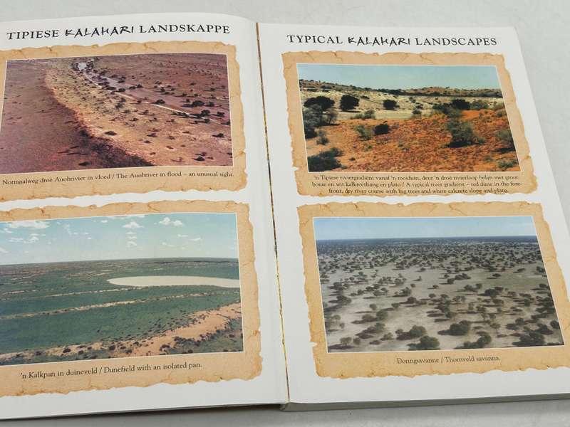 The Kalahari and its Plants  Pieter van der Walt and Elias le Riche