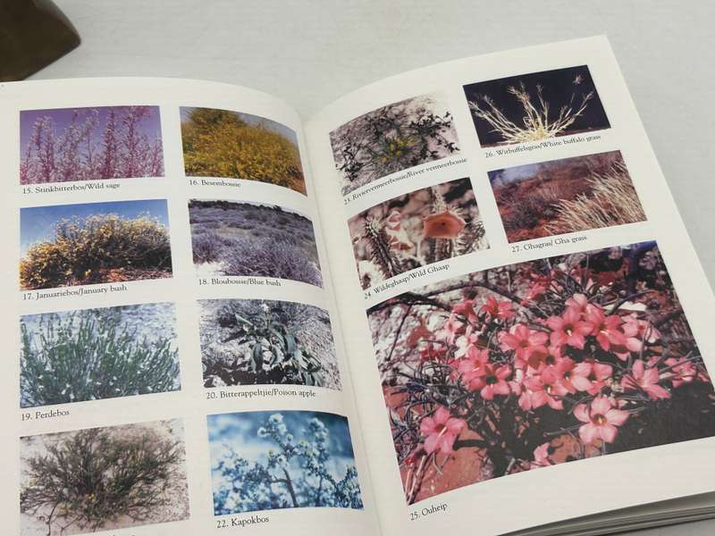 The Kalahari and its Plants  Pieter van der Walt and Elias le Riche