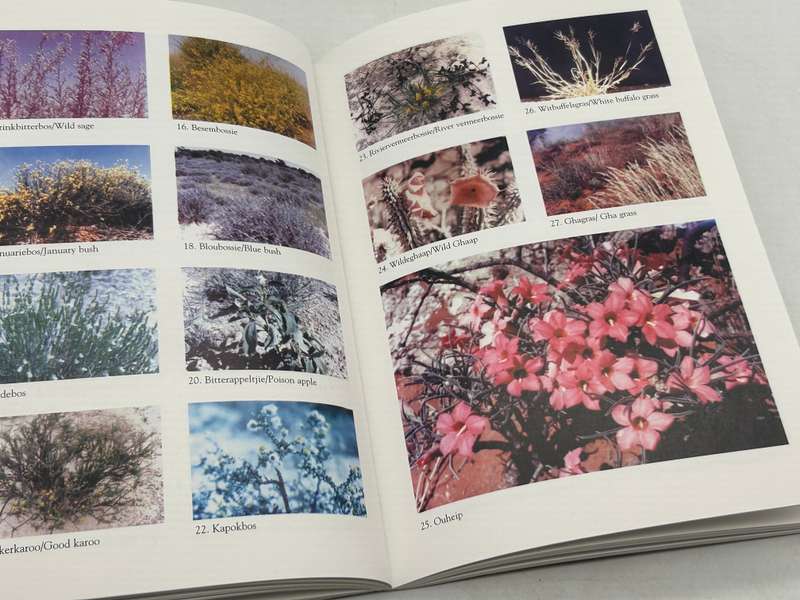 The Kalahari and its Plants  Pieter van der Walt and Elias le Riche