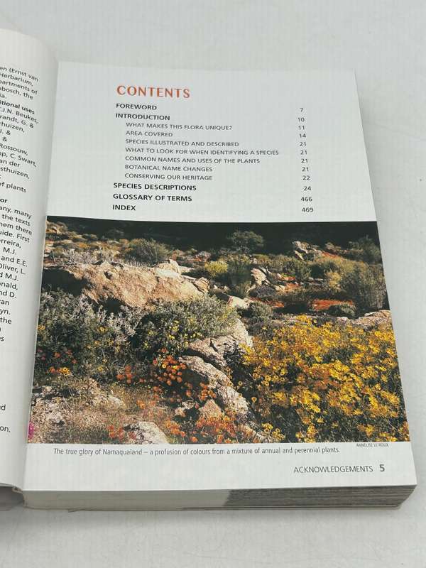 Wild flowers of Namaqualand - Annelise le Roux