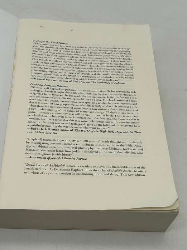 Jewish Views of the Afterlife by Simcha Paull Raphael Third Edition