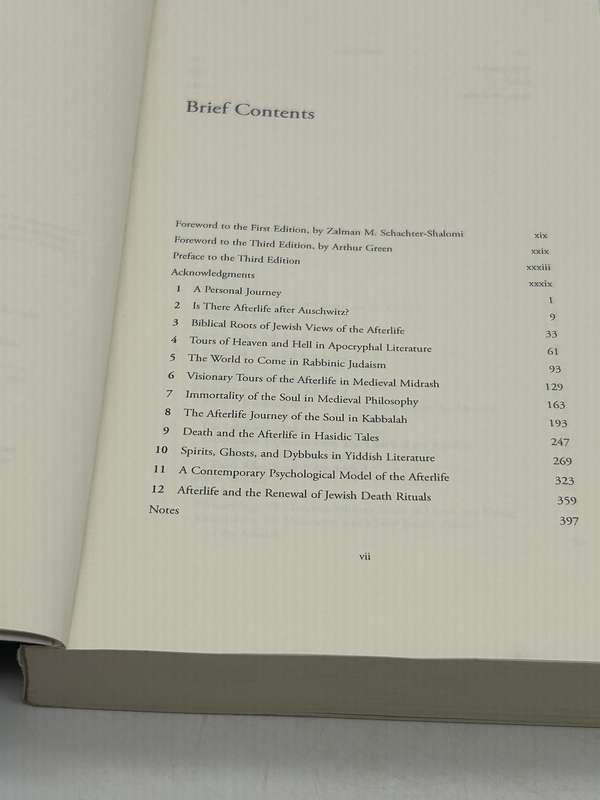 Jewish Views of the Afterlife by Simcha Paull Raphael Third Edition
