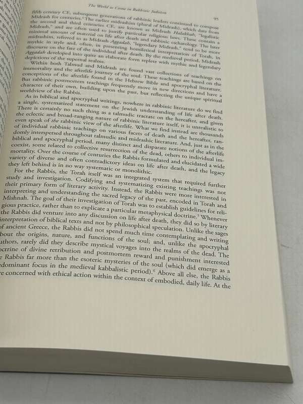 Jewish Views of the Afterlife by Simcha Paull Raphael Third Edition