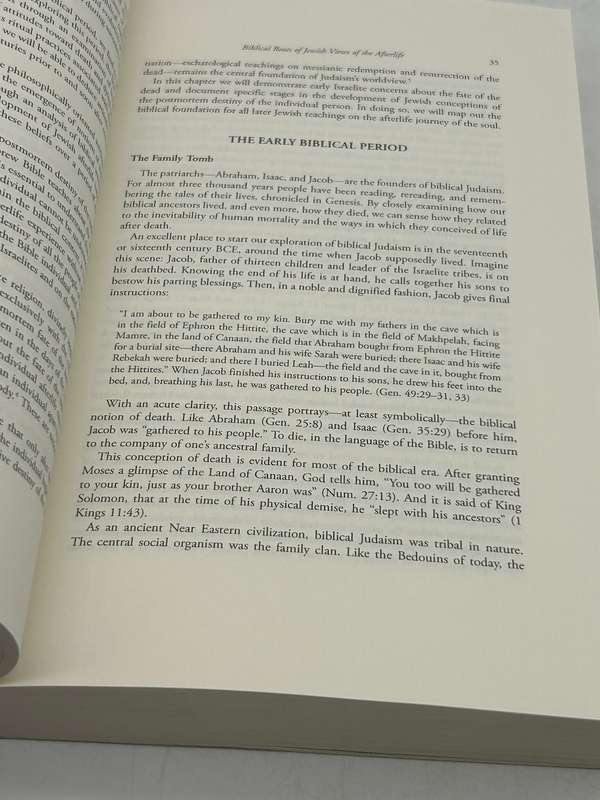 Jewish Views of the Afterlife by Simcha Paull Raphael Third Edition