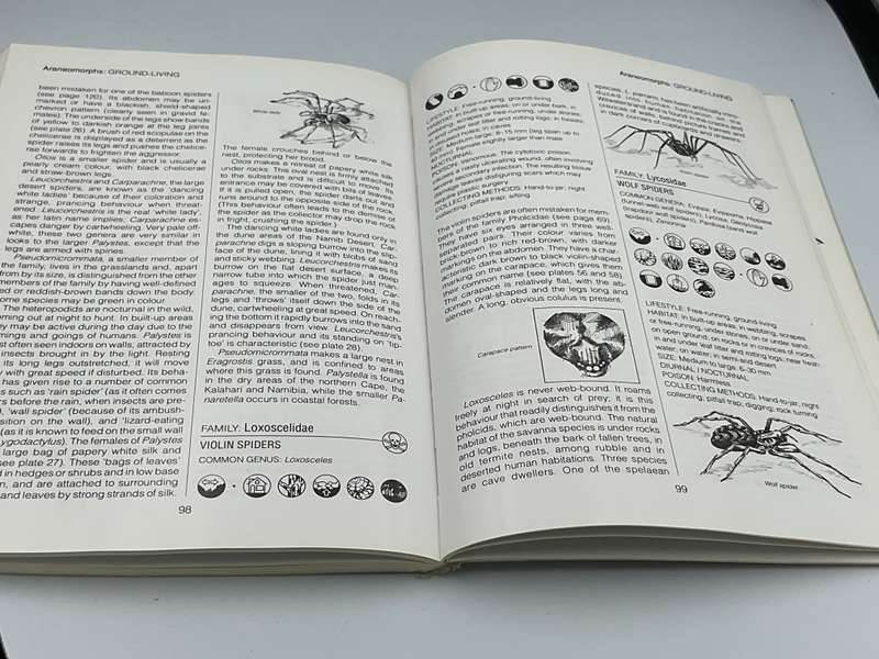 Southern African Spiders ~ An Identification Guide - Martin R Filmer | Illustrated by Linda Duigan
