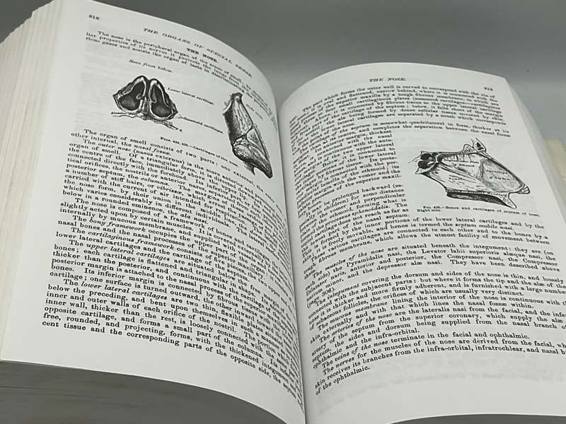 Gray's Anatomy: The Unabridged Running Press Edition of the American Classic | 827 Illustrations
