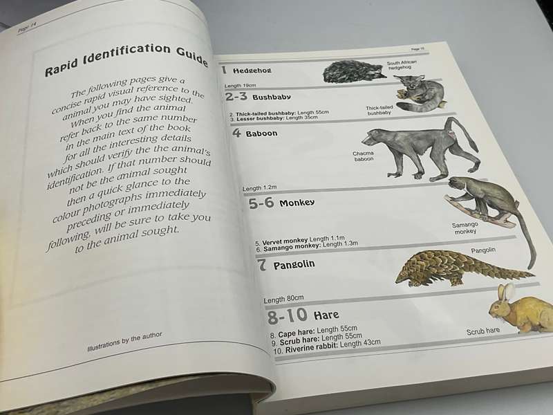 Southern Africa's Mammals: A Field Guide | Robin Frandsen