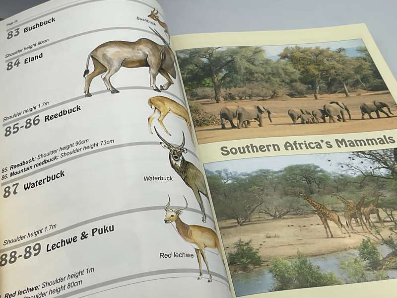 Southern Africa's Mammals: A Field Guide | Robin Frandsen