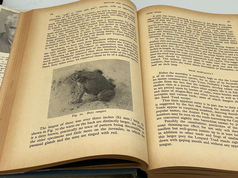 The Reptiles and Amphibians of Southern Africa - Walter Rose