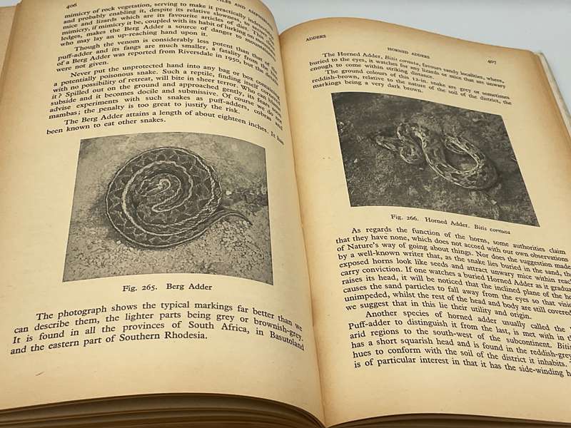The Reptiles and Amphibians of Southern Africa - Walter Rose