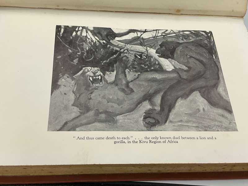 The Seven Lost Trails of Africa - Hedley A Chilvers