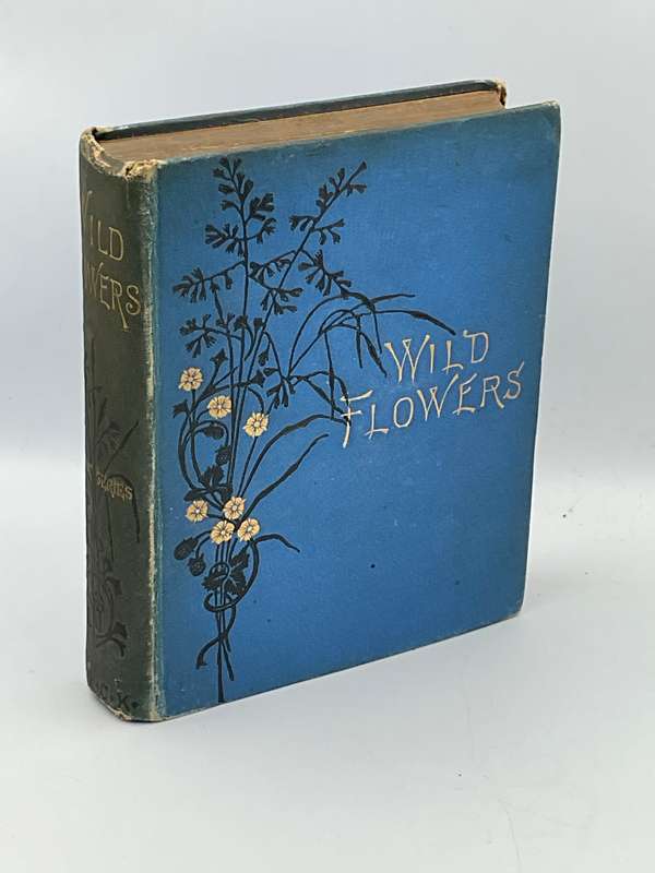Wild Flowers Volume I - Anne Pratt 1893  | Ninety-six Plates Printed in Colour