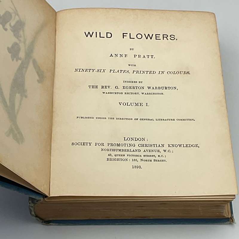 Wild Flowers Volume I - Anne Pratt 1893  | Ninety-six Plates Printed in Colour