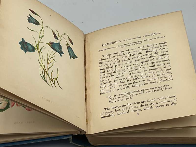 Wild Flowers Volume I - Anne Pratt 1893  | Ninety-six Plates Printed in Colour