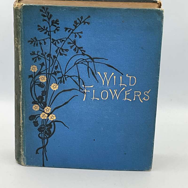 Wild Flowers Volume I - Anne Pratt 1893  | Ninety-six Plates Printed in Colour