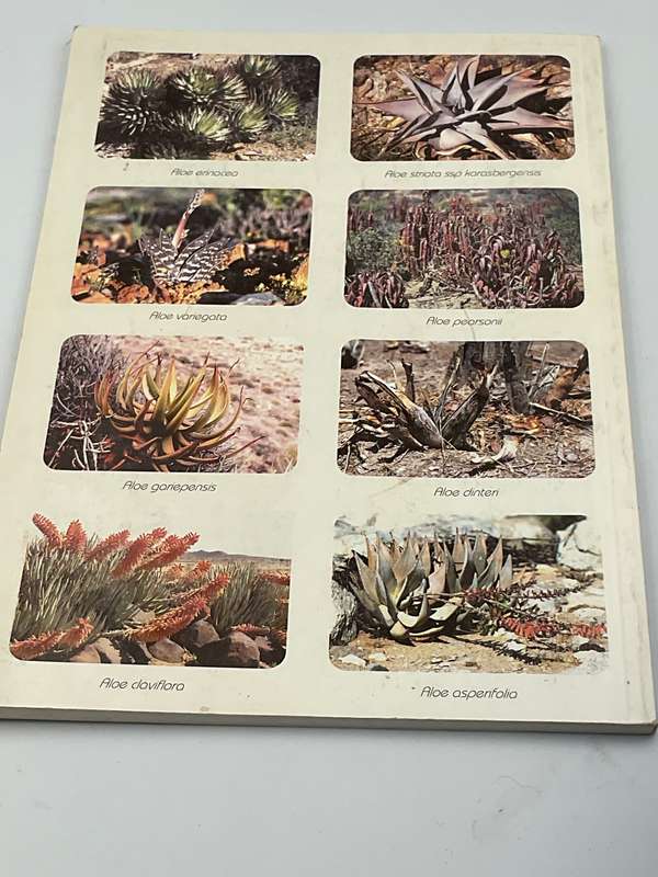 Aloes Aristocrats of Namibian Flora - Sakkie Rothmann