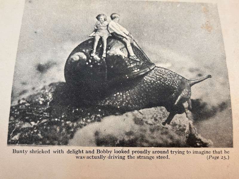The Strange Old Man by SH Skaife | Signed First Edition with great photos of kids with giant insects
