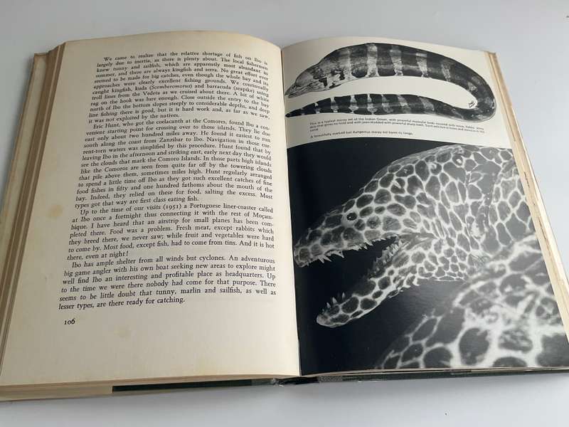 High Tide by Professor JLB Smith | Signed by Margaret M Smith