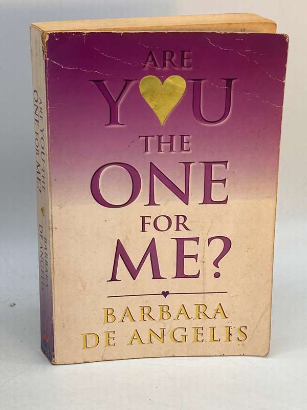 Are you the one for me? - Barbara de Angelis