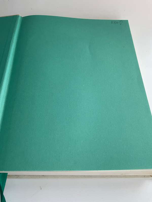 South African Practical Problem Solver Hardcover