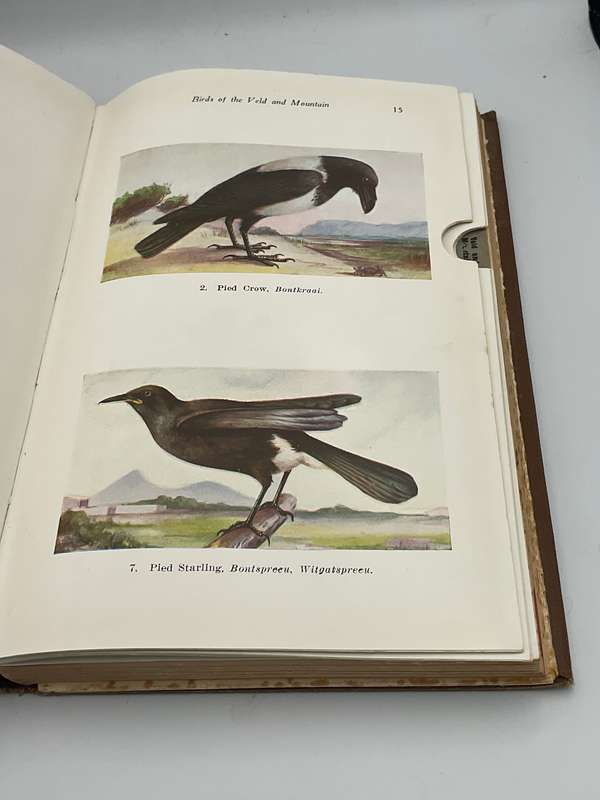 Land and Sea Birds of the South West Cape by R C Bolster
