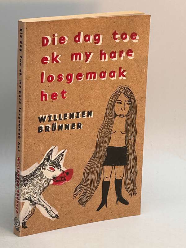 Die dag toe ek my hare losgemaak het - Willemien Brummer