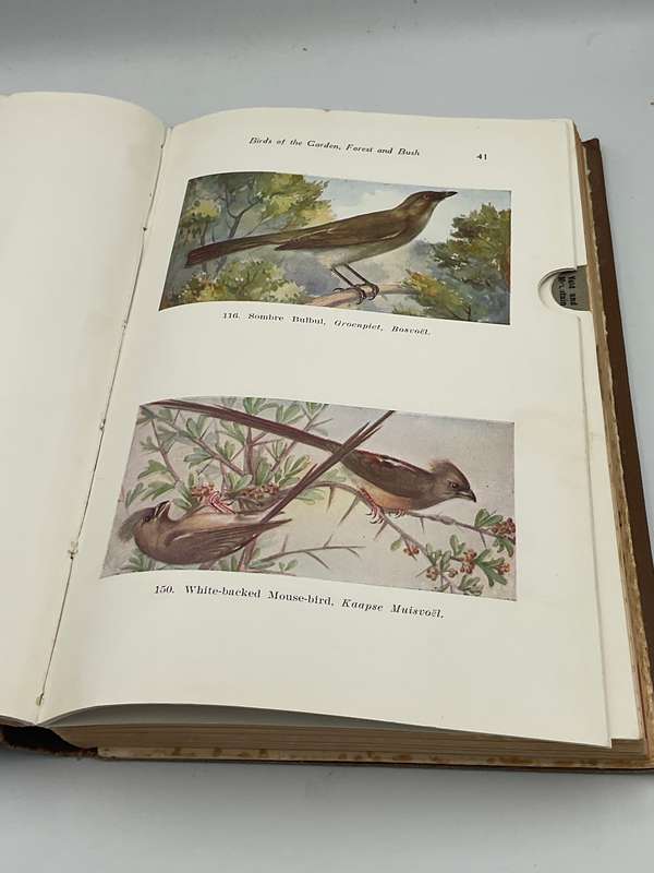 Land and Sea Birds of the South West Cape by R C Bolster