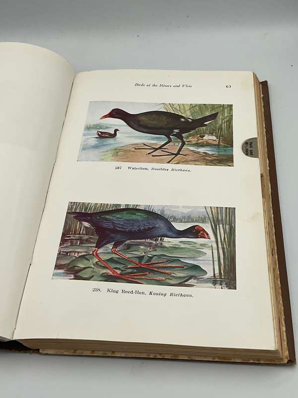 Land and Sea Birds of the South West Cape by R C Bolster