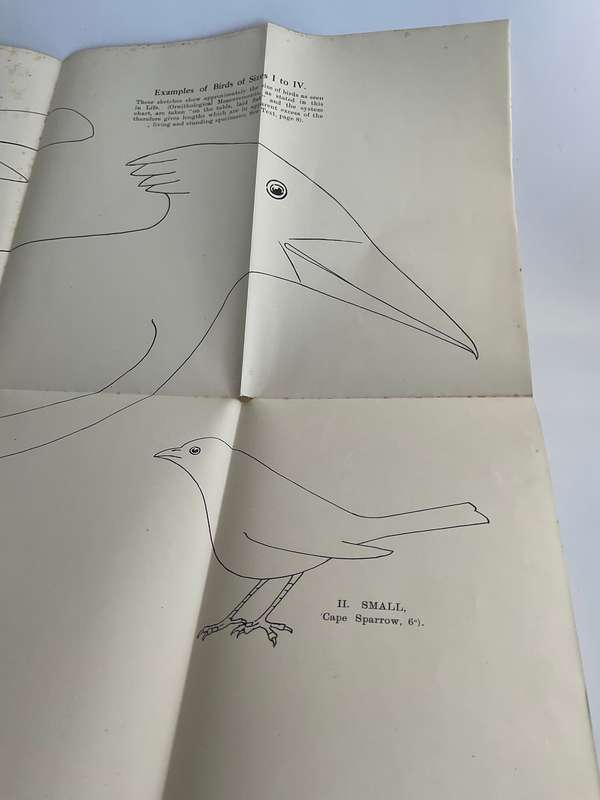 Land and Sea Birds of the South West Cape by R C Bolster
