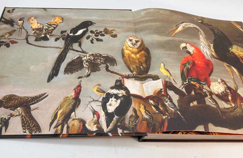 Hidden Cape Town by Paul Duncan and Alain Proust
