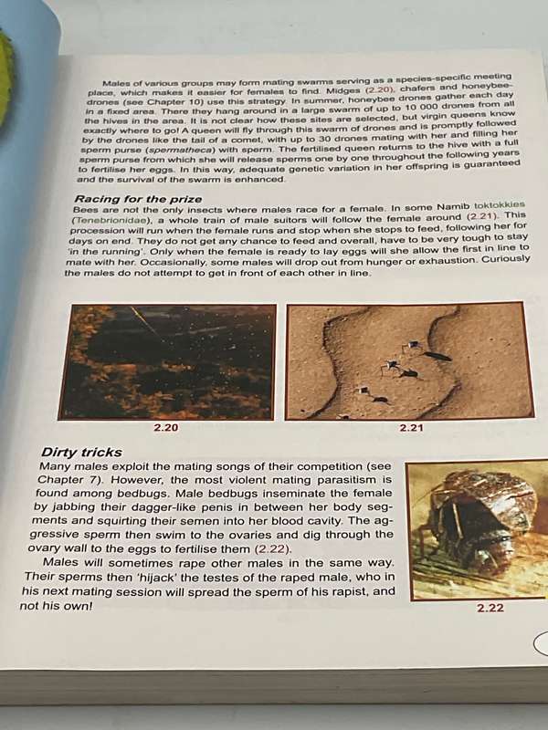Insectlopedia of Southern Africa by Erik Holm 2008