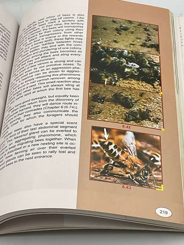 Insectlopedia of Southern Africa by Erik Holm 2008