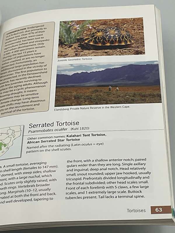 Tortoises, Terrapins & Turtles of Africa by Bill Branch 2008