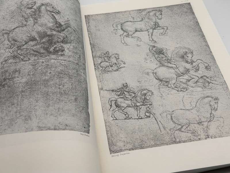 The Notebooks of Leonardo da Vinci by Jean Paul Richter Vol 1 & Vol 2