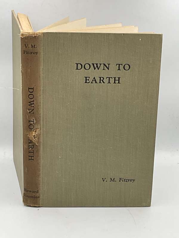 Down to Earth by VM Fitzroy