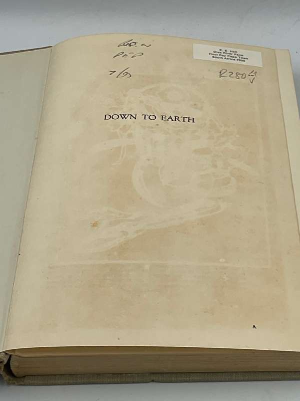 Down to Earth by VM Fitzroy