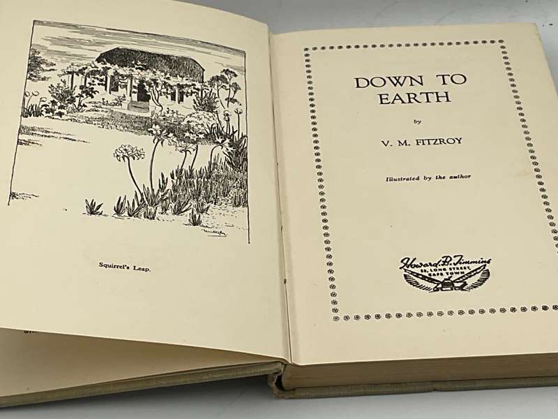 Down to Earth by VM Fitzroy