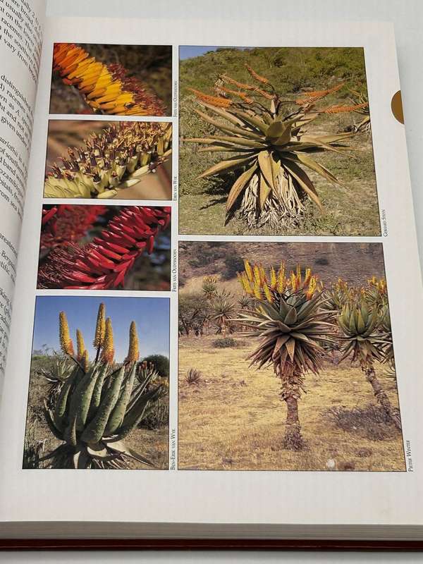 Guide to the Aloes of South Africa - Ben-Erik van Wyk & Gideon Smith