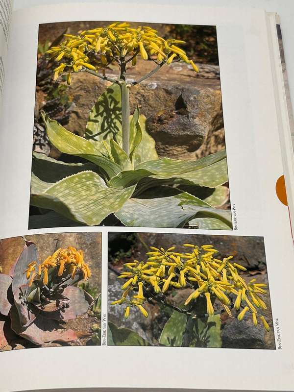 Guide to the Aloes of South Africa - Ben-Erik van Wyk & Gideon Smith