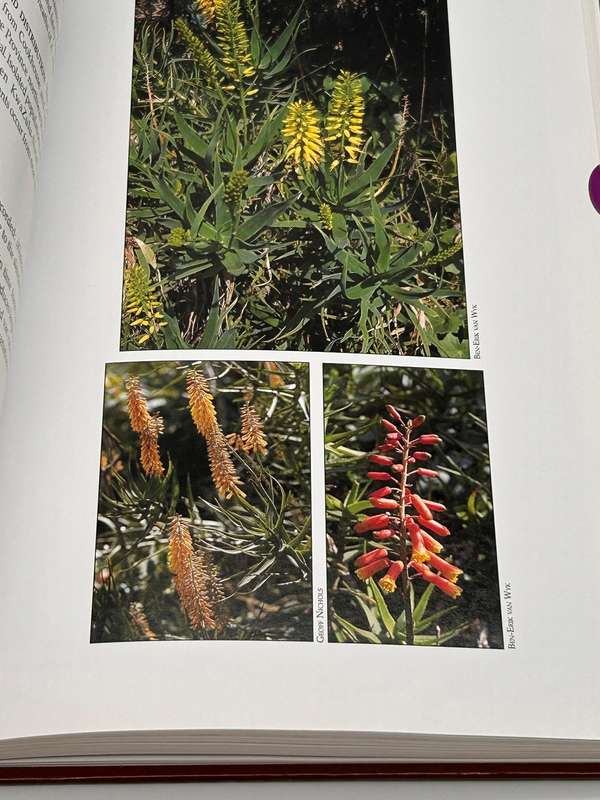 Guide to the Aloes of South Africa - Ben-Erik van Wyk & Gideon Smith