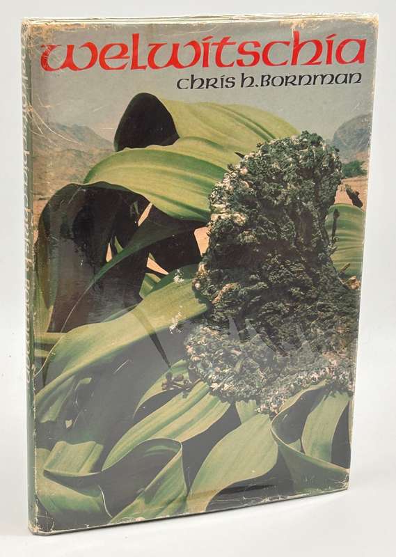 Welwitschia: Paradox of a parched paradise by Chris H Bornman